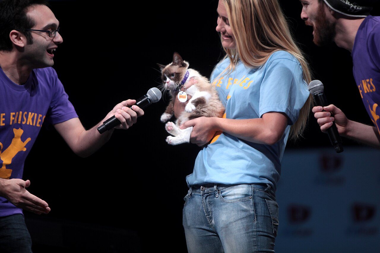 Grumpy Cat held up on stage at an awards show while two hosts with microphones lean in toward her